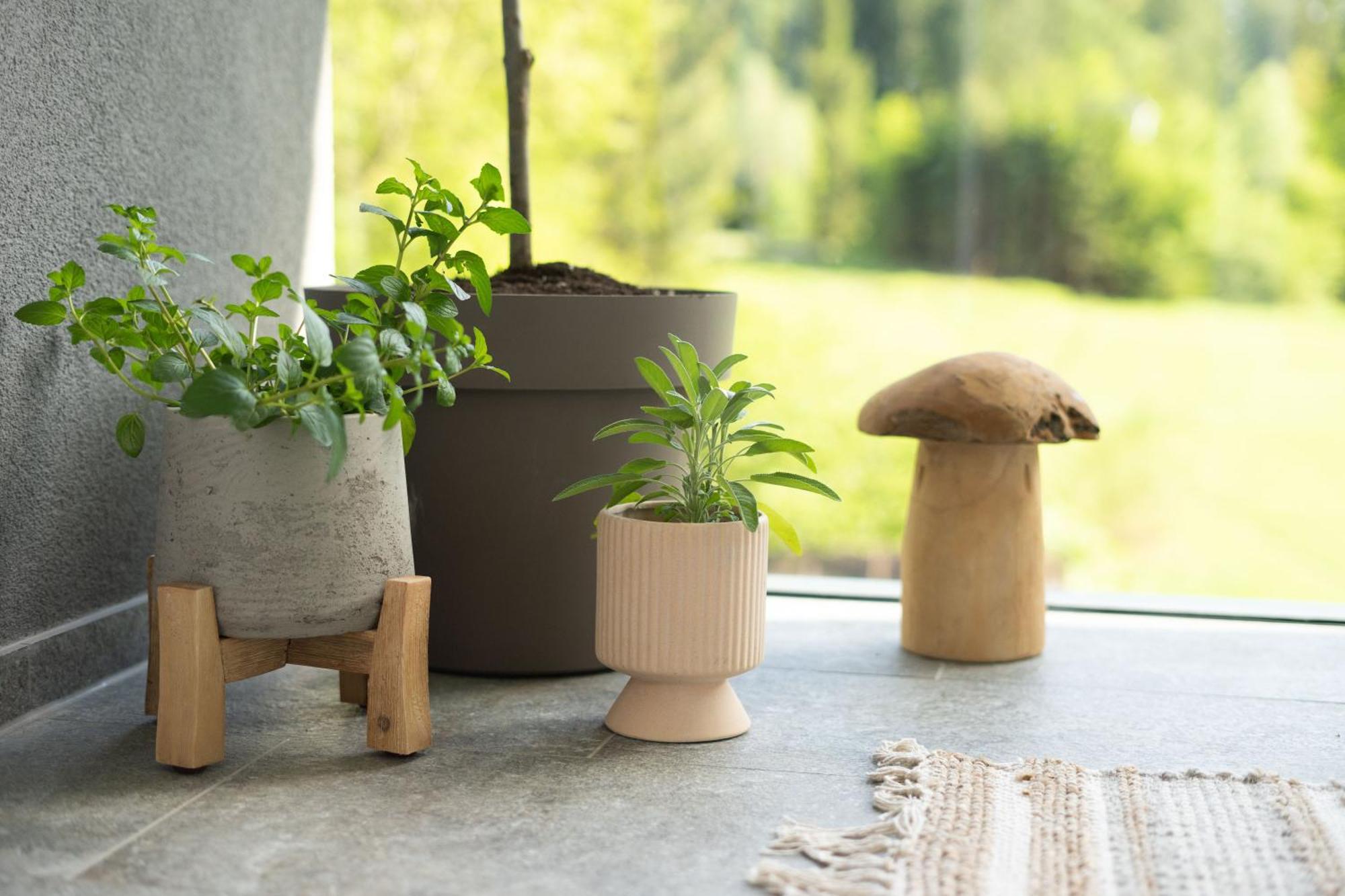 Forest Breeze Apartment Blejska Dobrava